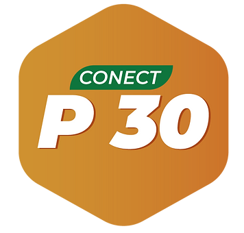 Conect P30